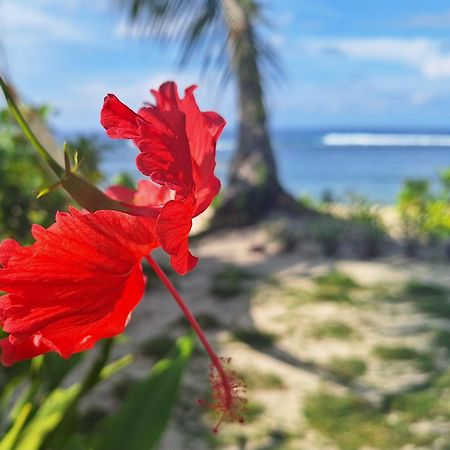 Bamboo Surf Beach San Isidro  외부 사진