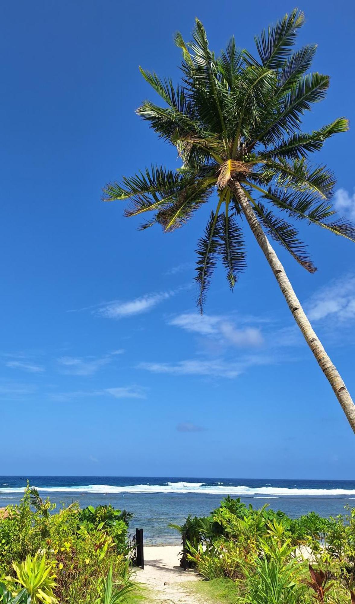 Bamboo Surf Beach San Isidro  외부 사진