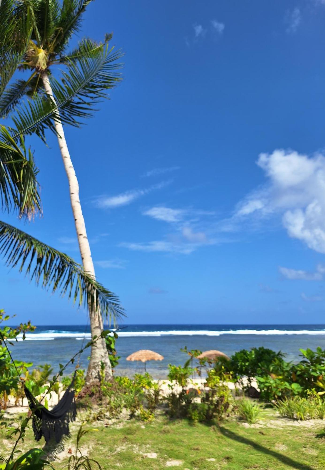 Bamboo Surf Beach San Isidro  외부 사진
