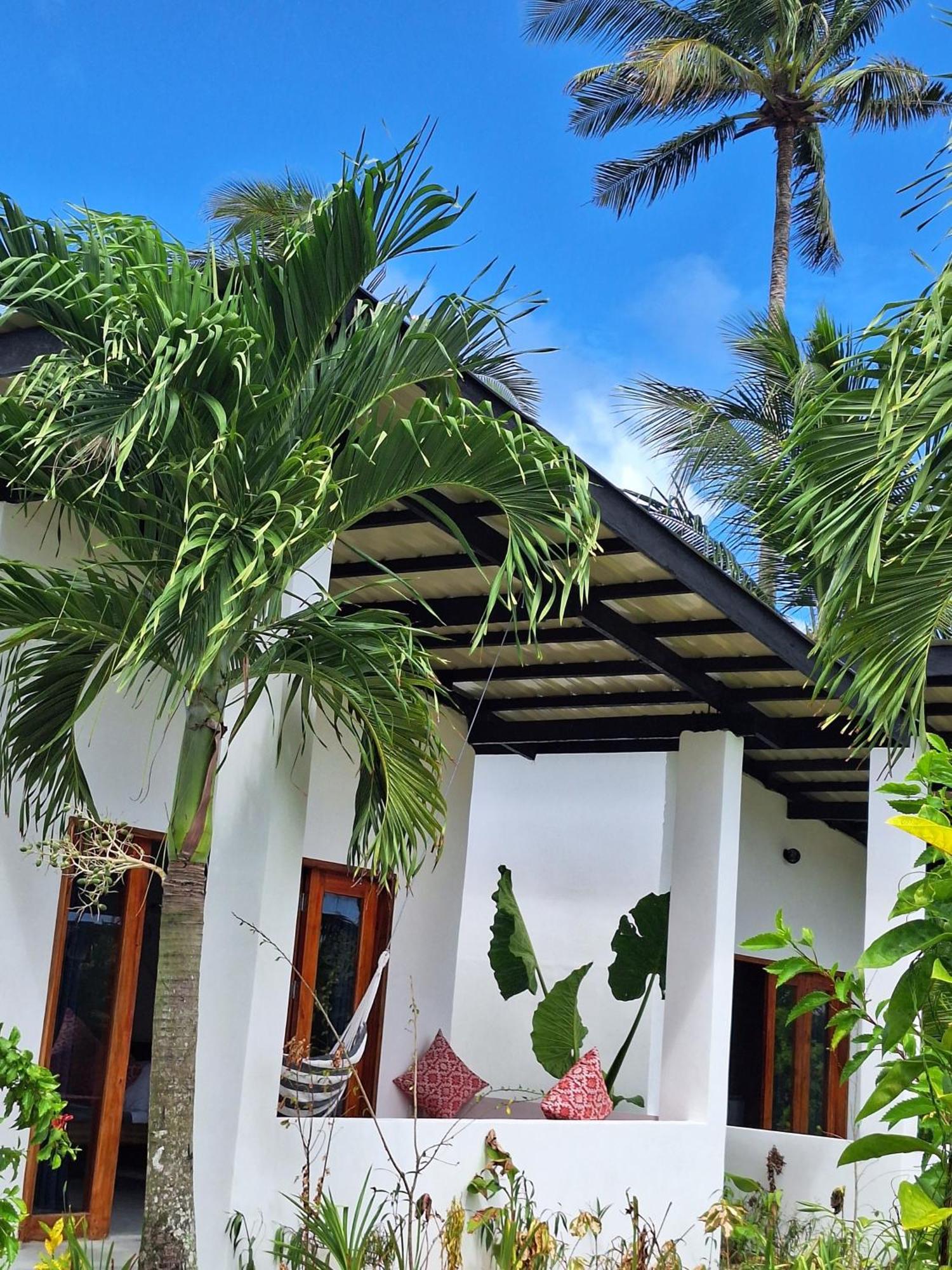 Bamboo Surf Beach San Isidro  외부 사진